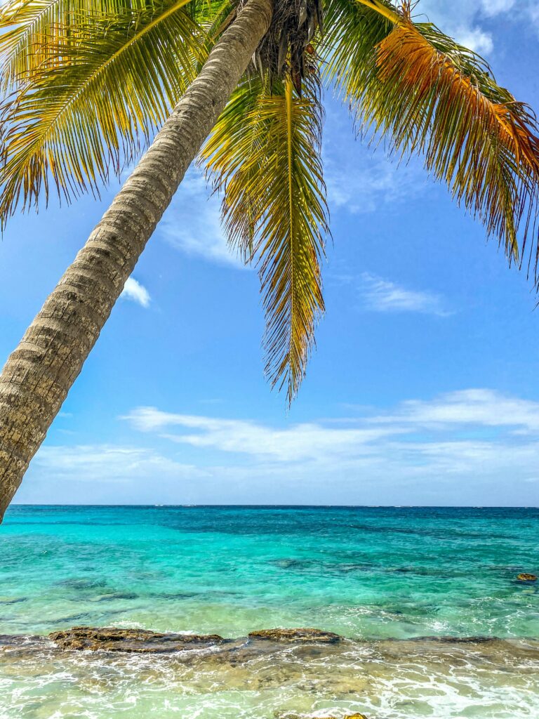 A serene beach scene with palm trees over turquoise waters in San Andrés, Colombia.